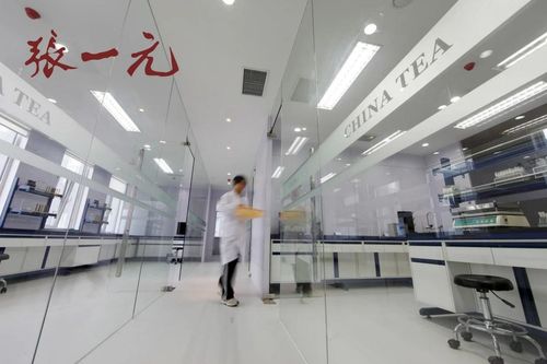 2024中國茶企品牌價值Top10風(fēng)采展示 百年張一元榮登榜，現(xiàn)代琳龍物流展新篇